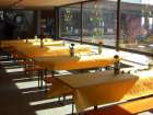 Bildergalerie Basar Fr�hjahr 2010